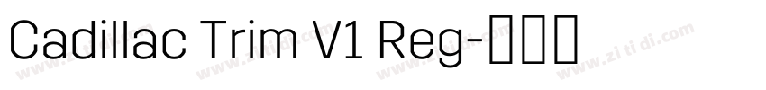 Cadillac Trim V1 Reg字体转换